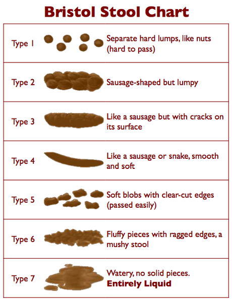 Poop Cropped Whats in the loo: The Bristol Stool chart – Andrew Stemler